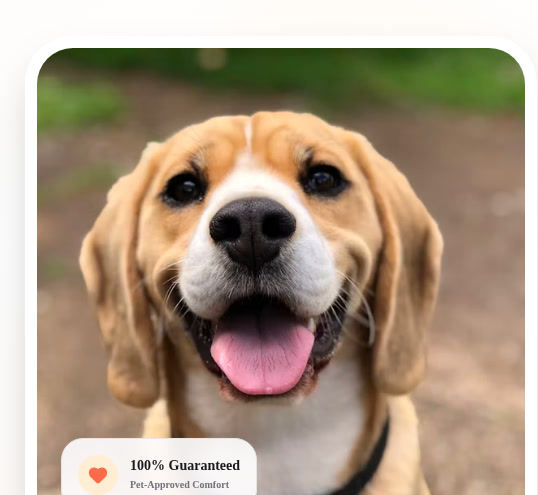 Smiling Beagle, TailTreatCo boutique mascot